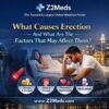 What Causes Erection And What Are The Factors That May Affect Them