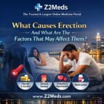What Causes Erection And What Are The Factors That May Affect Them