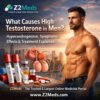 What Causes High Testosterone in Men Hyperandrogenism, Symptoms, Effects & Treatment Explained