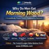 Why Do Men Get Morning Wood 5 Scientifically Proven Causes
