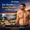 Zinc Benefits for Sexual Health in Men – Testosterone, ED & Fertility Guide